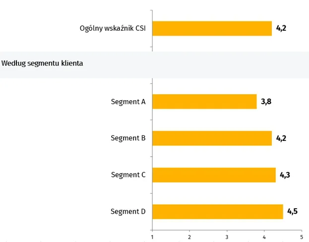 CSI segment klienta