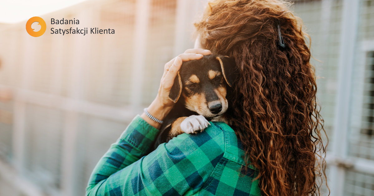 Ankieta po adopcji: kiedy ją wysłać i jak zwiększyć liczbę odpowiedzi?